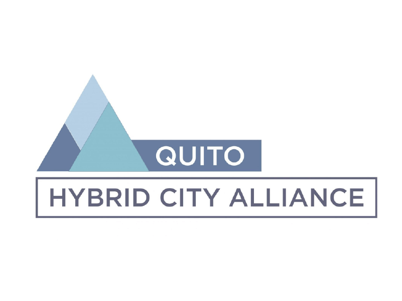 Hybrid city alliance